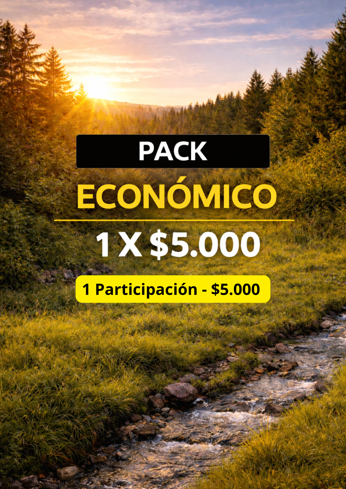 ECONÓMICO