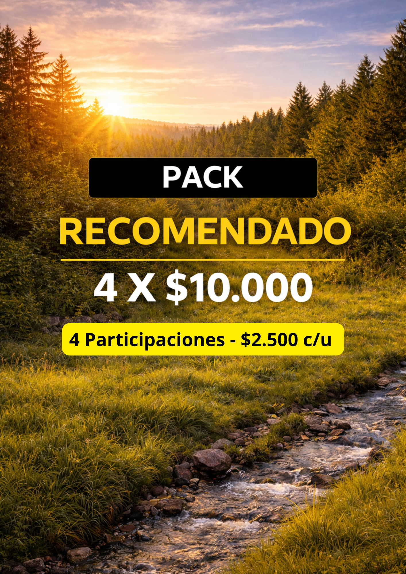 RECOMENDADO