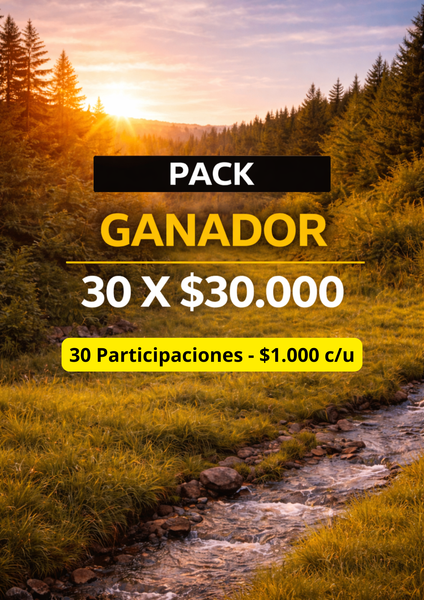 GANADOR