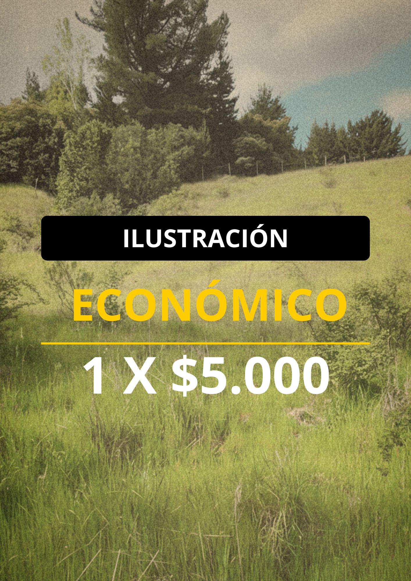 ECONÓMICO
